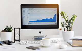 探秘糖心Vlog免费网页版的神秘魅力